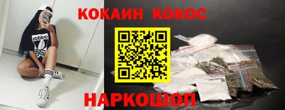 стафф Кингисепп