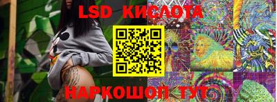 стафф Кингисепп
