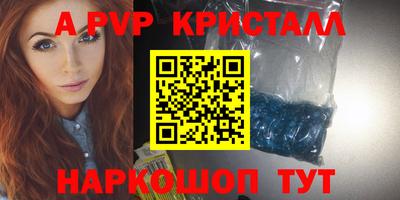 стафф Кингисепп