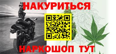 стафф Кингисепп