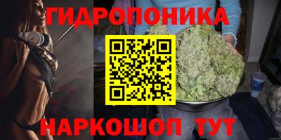 apvp Кинель