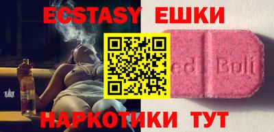 стафф Кингисепп