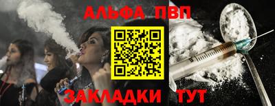 стафф Кингисепп