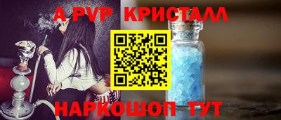 стафф Кингисепп