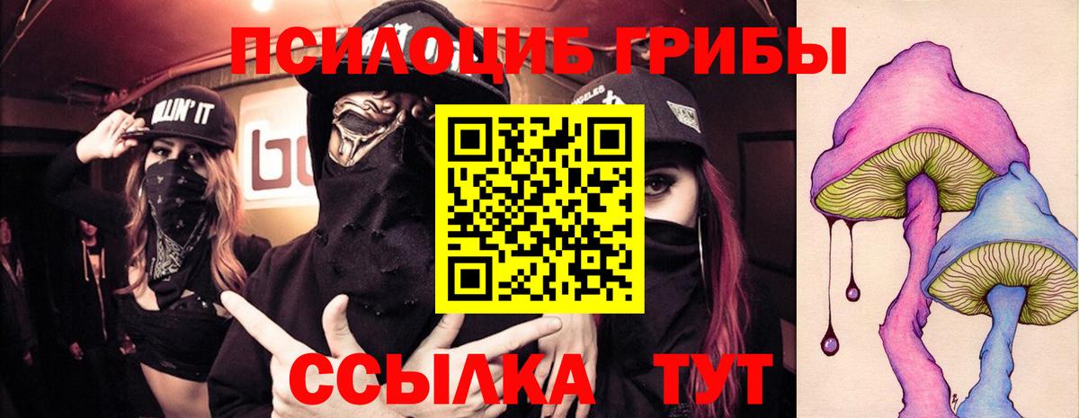 Псилоцибиновые грибы ЛСД  Вход с VPN  Псилоцибиновые грибы Psilocybe  Чехов 